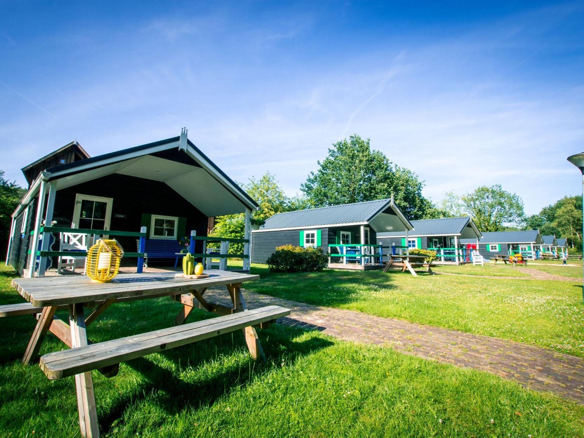 Chalet With Dishwasher, In Natural Environment IJhorst Экстерьер фото