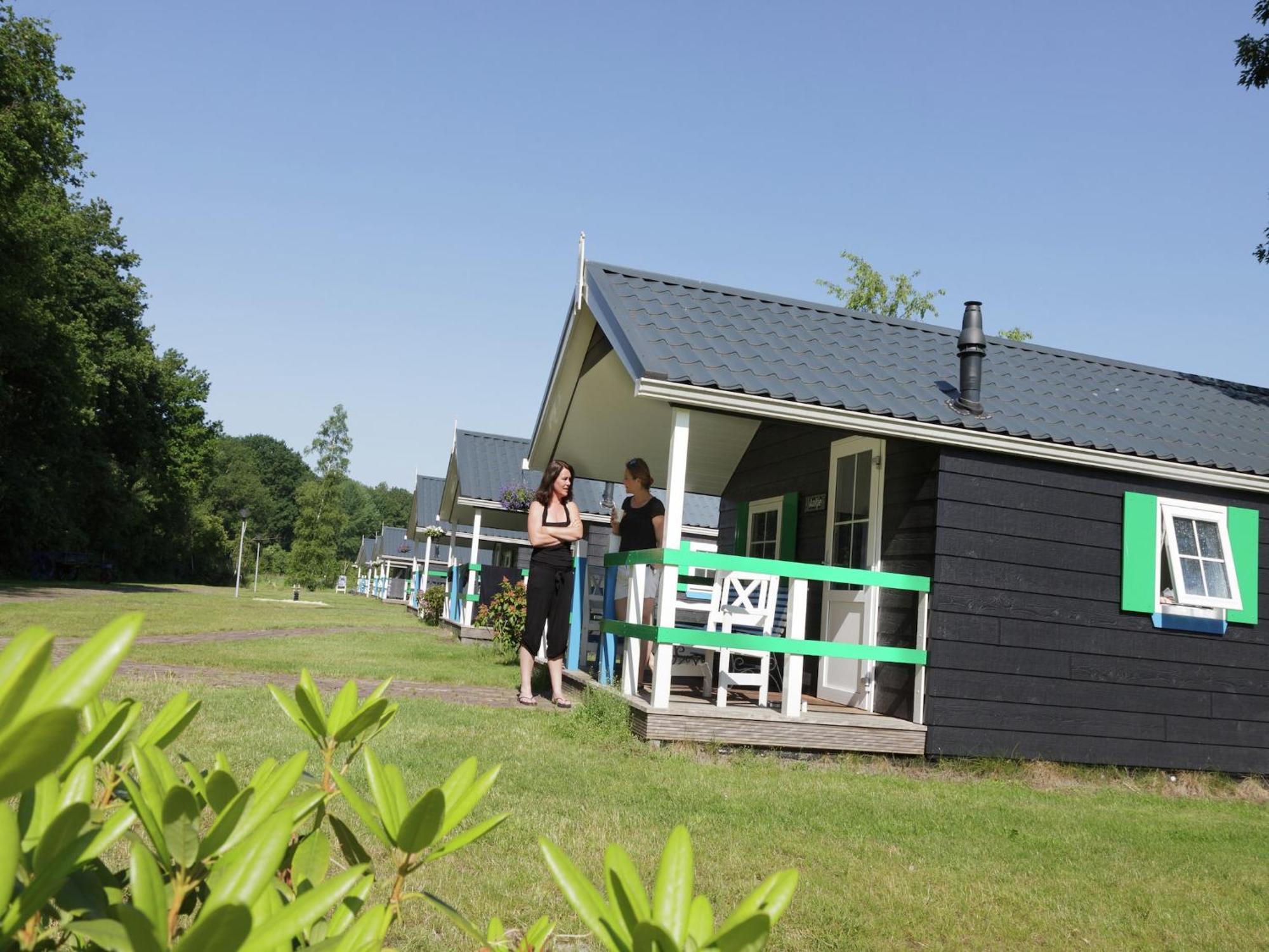 Chalet With Dishwasher, In Natural Environment IJhorst Экстерьер фото