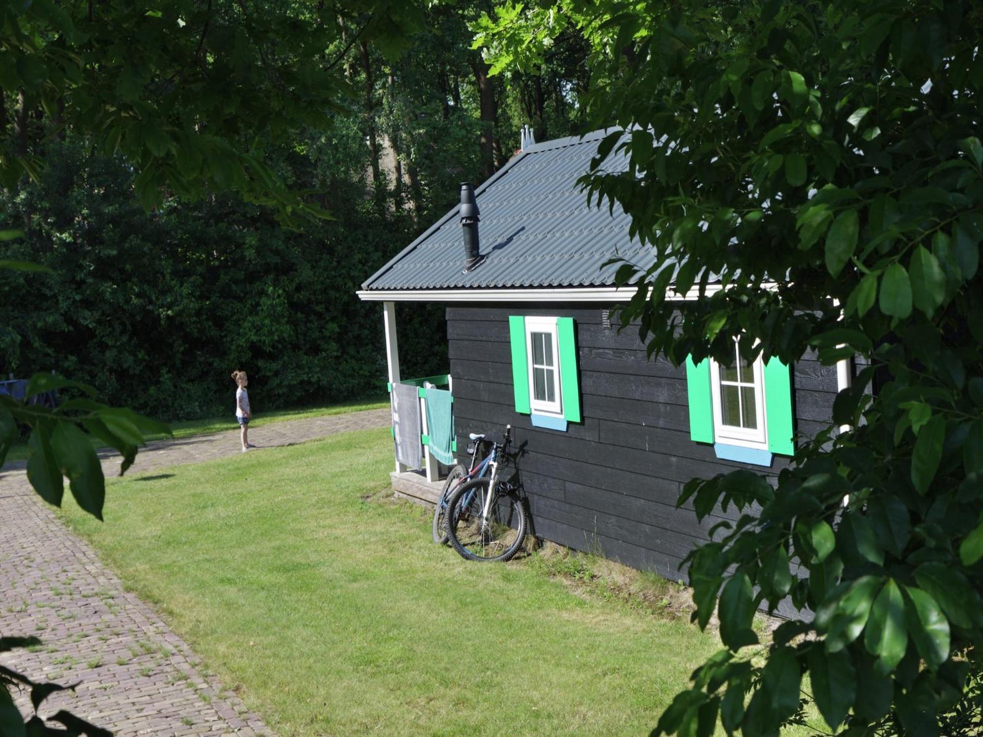 Chalet With Dishwasher, In Natural Environment IJhorst Экстерьер фото